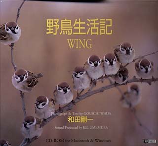 【中古】 野鳥生活記 Wing