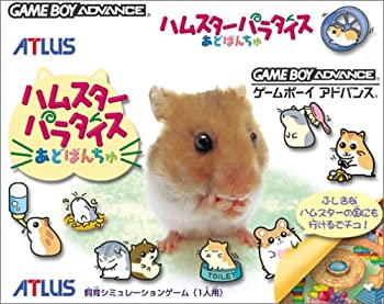 【中古】 ハムスターパラダイスあどばんちゅ 【中古】 ハムスターパラダイスあどばんちゅ