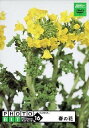 【中古】 Photobit 16 春の花