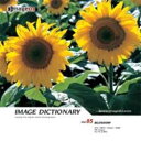 【中古】 イメージ ディクショナリー Vol.85 花 2(2)