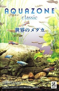  AQUAZONE Classic 5 世界のメダカ