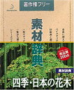 【中古】 素材辞典 Vol.146 四季 日本の花木編