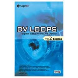 【中古】 DV LOOPS Vol.2 テクノ