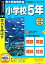 【中古】 PC教育シリーズ トライ 小学校5年生 説明扉付きスリムパッケージ版