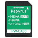 ygpzyÁz SHARP V[v ꉹΉRecJ[h PW-CA30