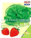 【中古】 MIXA マイザ Image Library Vol.220 スーパーリアルイラスト 野菜 果実(2)
