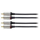 【中古-非常に良い】 audio technica オーディオテクニカ GOLD LINK Fine オーディオケーブル ピン×2 1.0m AT564A 1.0(2)