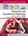 Placental and Gestational Pathology Hardback with Online Resource (Diagnostic Pediatric Pathology)