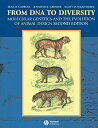 【中古】【輸入品 未使用】From DNA to Diversity: Molecular Genetics and the Evolution of Animal Design カンマ 2nd Edition