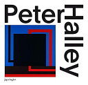 Peter Halley: Painting of the 1980s The Catalogue Raisonne