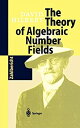 【中古】【輸入品 未使用】The Theory of Algebraic Number Fields