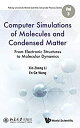 【中古】【輸入品 未使用】Computer Simulations of Molecules and Condensed Matter: From Electronic Structures to Molecular Dynamics (Peking University-world Scien