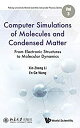 【中古】【輸入品・未使用】Computer Simulations of Molecules and Condensed Matter: From Electr...