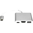 yÁzyAiEgpzRocstor Y10A176-S1 v~A USB-C - HDMI }`|[gA_v^[ - USB-C - HDMI/USB-C (3.1)/USB 3.0 I[fBI/rfIfoCXp - USB-