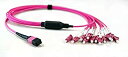 【中古】【輸入品・未使用】Weno Networks MPO - LC OM4 50/125 マルチモード 12 ファイバーブレイクアウトトランクケーブル (15メートル)(2)