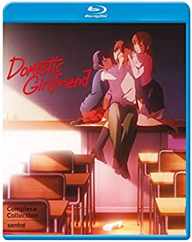 šۡ͢ʡ̤ѡDomestic Girlfriend [Blu-ray]