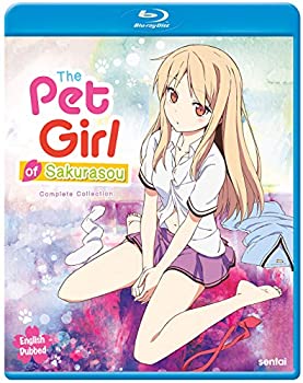 楽天ムジカ＆フェリーチェ楽天市場店【中古】【輸入品・未使用】The Pet Girl of Sakurasou [Blu-ray]