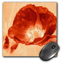 【中古】【輸入品・未使用】3drose LLC 8?x 8?x 0.25インチマウスパッド、Red Poppy Flower ( MP _ 44691?_ 1?...