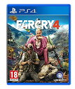 【中古】【輸入品 未使用】Far Cry 4 PS4 Game