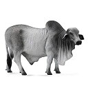【中古】【輸入品・未使用】コレクタ 88579 ブラフマン オス Brahman Bull