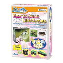 【中古】【輸入品・未使用】ARTEC EDUCATIONAL Egg to Adult Life Cycles Kit [並行輸入品]