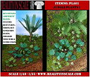【中古】【輸入品・未使用】リアリティインスケール スーパーディテールプランツシリーズ ジャングルの植物セット その1 情景用素材 PLA01