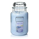 【中古】【輸入品 未使用】Yankee Candle Large Jar Candle カンマ Beach Walk