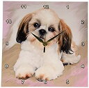 【中古】【輸入品・未使用】3Dローズ 犬 シーズー - シーズー 子犬 - 壁時計 - 約25 x 25cm (10 x 10インチ) 壁時計 - dpp_4807_1 (並行輸入)(3)