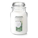 【中古】【輸入品 未使用】Yankee Candle Large Jar Candle カンマ White Gardenia by Yankee Candle