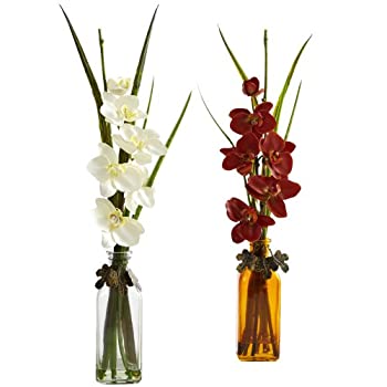 Nearly Natural Phalaenopsis Orchid with Colored Jar%カンマ% Set of 2 by Nearly Natural 