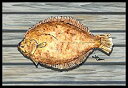 yÁzyAiEgpzCaroline's Treasures Fish Flounder Indoor or Outdoor Doormat%J}% 24%_uNH[e% x 36%_uNH[e%%J}% Multicolor by Caroline's Treasures
