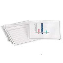 Didax Educational Resources Write & Wipe Graphing Mats 211447 