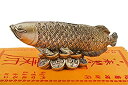 【中古】【輸入品・未使用】(イスイ)YISHUI 風水置物 風水グッズ 金龍魚 アロワナ 財福の護符付き 樹脂製 金運アップ 開運 お守り feng..