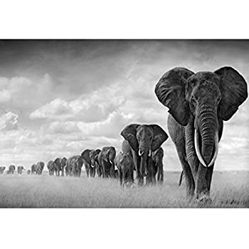 【中古】【輸入品・未使用】アフリカゾウ動物自然アートシルクポスター24 x 36インチ [並行輸入品]