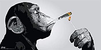 šۡ͢ʡ̤ѡSteez Monkeyʱ쥸祤ȡǥ졼󡦥ߥ塼åUrban Graffiti Art Prin...