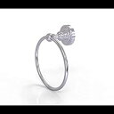 【中古】【輸入品・未使用】Dottingham Collection Towel Ring - DT-16-SCH