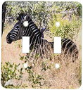 yÁzyAiEgpz3drose LLC lsp _ 20131?_ 2?South African Zebra in the grass_u؂ւXCb`