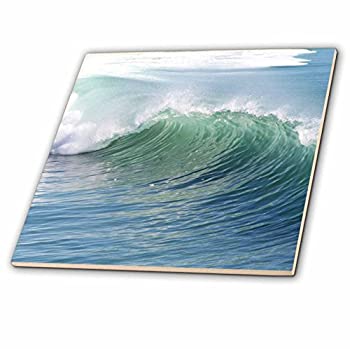 【中古】【輸入品・未使用】3dRose ct_50878_3 ブレーキングウェーブ セラミックタイル 8インチ