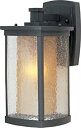 yÁzyAiEgpz(Bronze) - Maxim Lighting 3153CDWSBZ One Light Seedy/Wilshire Glass Wall Lantern%J}% Bronze