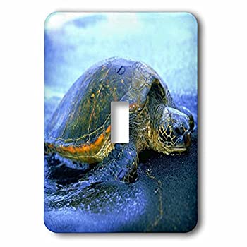 【中古】【輸入品・未使用】3drose LLC lsp _ 80273?_ 1ハワイアンSea Turtle Single切り替えスイッチ 【中古】【輸入品・未使用】3drose LLC lsp _ 80273?_ 1ハワイアンSea Turtle Single切り替えスイッチ