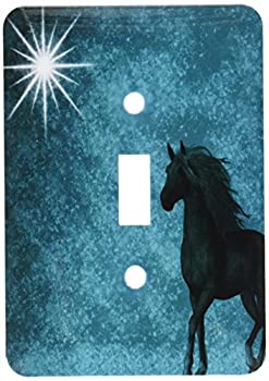 【中古】【輸入品・未使用】3dRose lsp_164692_1 美しい馬 アクア グランジスカイライト スイッチカバー