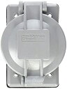 【中古】【輸入品・未使用】Legrand - Pass & Seymour WPG2 Pass and Seymour Wpg-2 防水リフトカバー フランジ付きインレットとアウトレット(3)