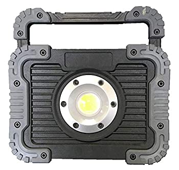 【中古】【輸入品・未使用】ナイトセーバー　薄型LED投光器　NWL-800SG [並行輸入品]