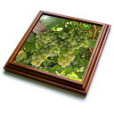 【中古】【輸入品・未使用】3dRose Danita Delimont - Vineyards - ウズムペクメジーを作るための七面鳥、カパドシア、ウチザー、ブドウ - 五徳 8 by 8-Inch ブラウン trv_2
