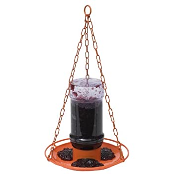 Perky-Pet 253 Oriole Jelly Wild Bird Feeder
