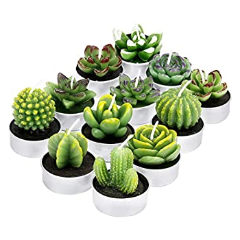 【中古】【輸入品・未使用】Outee Cactus Tealight Candles 12 Pack Handmade Delicate Succulent Cactus Candles Flameless Aromatherapy 12 Designs for Birthday Party W