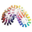 【未使用】【中古】日本色研 PCCSカラートーンサークル