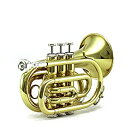 【中古】【輸入品・未使用】Bb Pocket Trumpet Bb ポケット トランペット Sky社 Gold【並行輸入】(2)