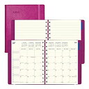 【中古】【輸入品・未使用】Filofax 2020 Filofax マンスリープランナー 英語/フレンチ アクア 10.875 x 8.5インチ (C1811004-20) 10.87 x 8.5 inches