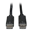 【中古】【輸入品・未使用】30' DisplayPort Latches M M(2)